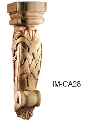 IM-CA28